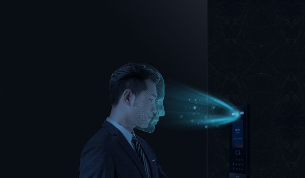 Видеодомофония