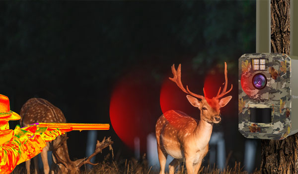 WiFi видеонаблюдение