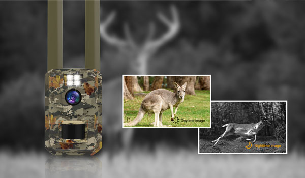 Охотничья камера на солнечной батарее